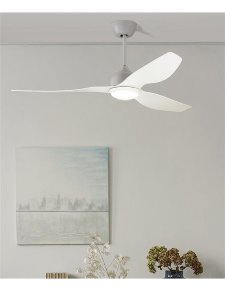 Pam ceiling fan with light - FORLIGHT - DC fan, LED dimmable, 5 speeds