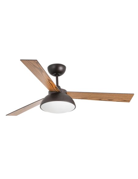 Rodas brown ceiling fan with LED light – Faro - Remote control with timer, 5 speeds, DC motor