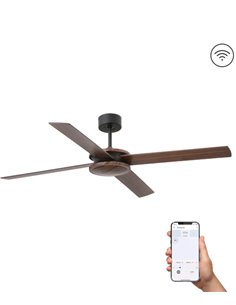 Designer Ceiling Fans for Medium-Sized Rooms