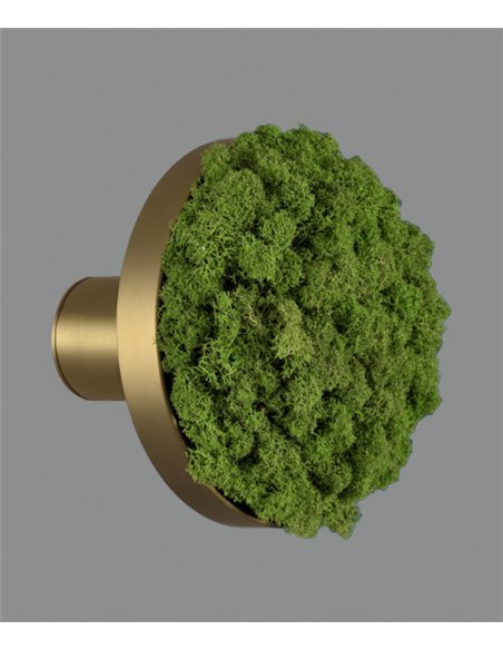 Chamaleon wall light - ACB - Decorative light made of 100% natural moss, LED 3000K