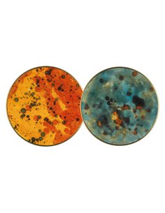 Chameleon wall light - ACB - 100% handcrafted ceramic lamp