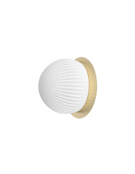 Wall/ceiling light Roi Disc - Robin - Disc in two finishes, Glass lampshade, Ø 15 cm