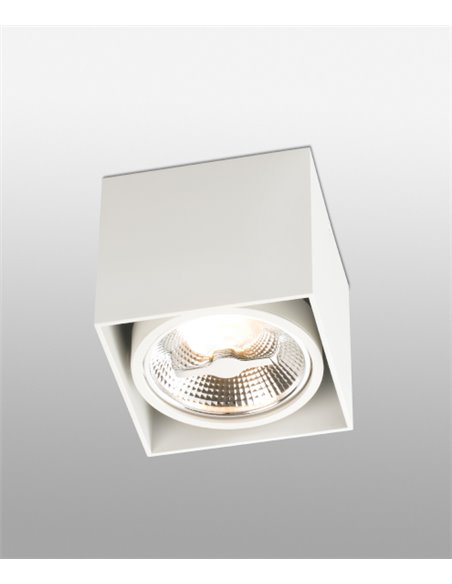 Tecto AR111 ceiling spotlight - Faro - Square lamp in white or black