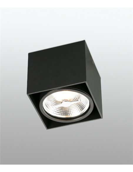 Tecto AR111 ceiling spotlight - Faro - Square lamp in white or black