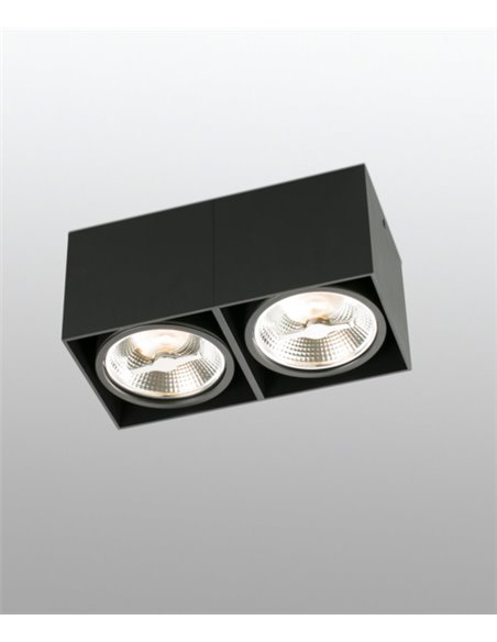 Tecto AR111 ceiling spotlight - Faro - Lamp with 2 black or white lights