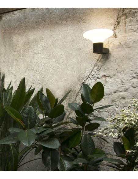 Blubs outdoor wall light - Faro - Dark grey, IP44