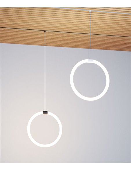 Fine magnetic rail pendant light - Beneito & Faure - Circular LED lamp