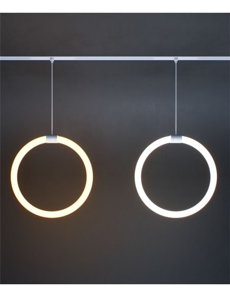 Fine magnetic rail pendant light - Beneito & Faure - Circular LED lamp