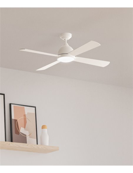 Borneo ceiling fan with light - FORLIGHT - 3 Speeds, Available in 4 colours, Reversed function