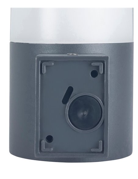Astra outdoor wall light - FORLIGHT - Dark grey finish