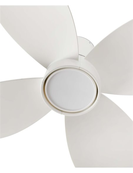 Ventilador de techo Klover - Faro - Ventilador plafón con luz blanco