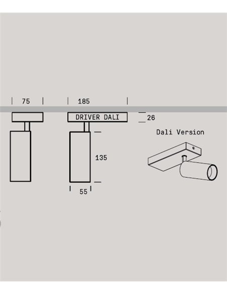 Focus 55.2 C ceiling spotlight - Onok - LED directional spotlight, 36º