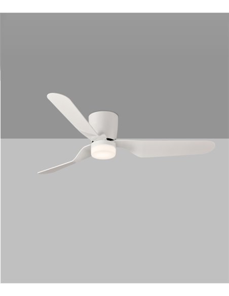 Brisa ceiling fan with light - ACB - White fan, DC motor