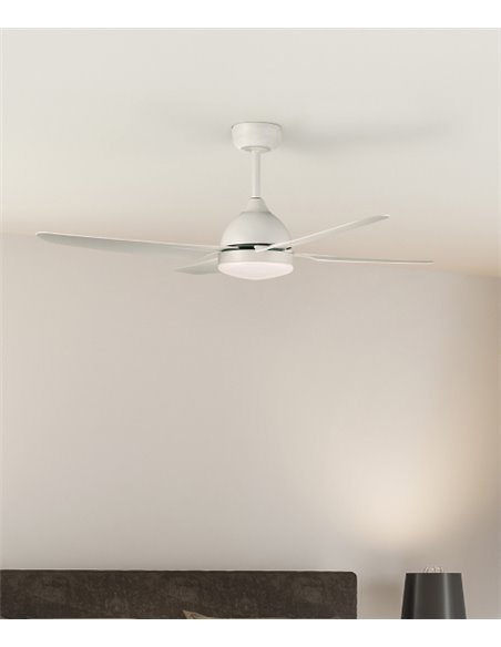 Barine ceiling fan with light - ACB - White, dimmable LED fan