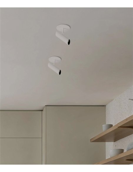 Leo recessed ceiling projector - Faro - Adjustable LED light