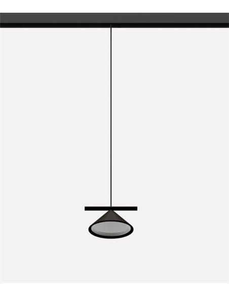 48V Belle track pendant light - Nexia - Conical LED lamp